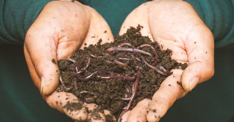 Composting - Earthworms on a Persons Hand