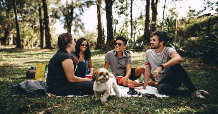 How to Organize a Memorable Family Picnic?